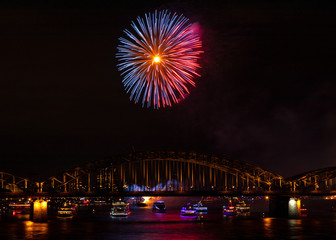 Firework over the rhine river