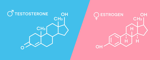 Estrogen and testosterone hormones symbol. Sex hormones molecular chemical formula. - obrazy, fototapety, plakaty