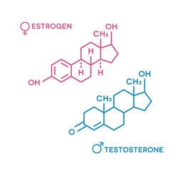 Estrogen and testosterone hormones symbol. Sex hormones molecular formula.
