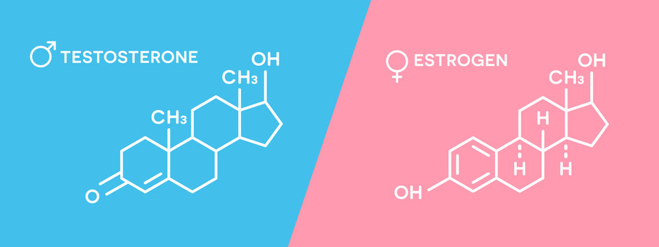 Estrogen and testosterone hormones symbol. Sex hormones molecular chemical formula.
