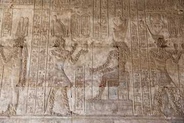 Scene from Edfu Temple in Edfu, Egypt