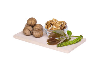 Walnut Blossom. Whole and chopped nuts, a blooming twig. Cutout, isolated