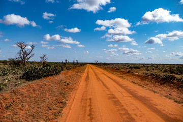 tsavo nationalpark kenya safari