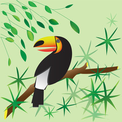 Card with toucan on the branch.