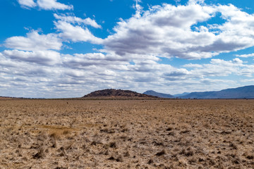 tsavo nationalpark 
