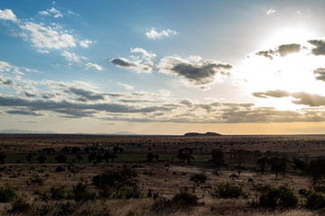 tsavo nationalpark