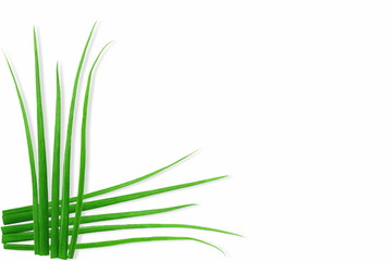 cut green onion or green garlic for soup,sambhar,dal,curry,cooking and food related background,white background