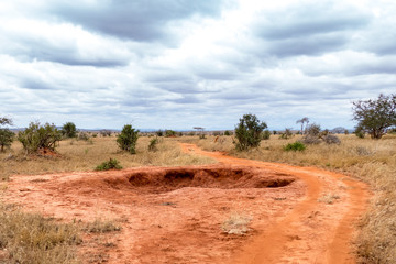 tsavo nationalpark 