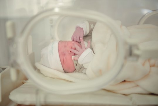 Recién nacido en incubadora bebe