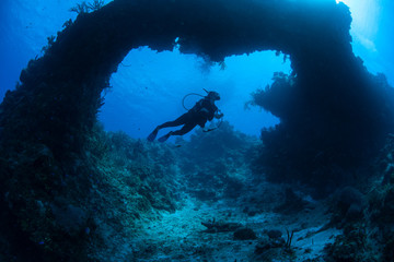 A scuba diver explores a submerged natural arch formed on a coral reef off the coast of Grand Cayman in the Caribbean Sea. This beautiful area is a popular destination for divers and snorkelers.