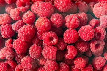 Fresh organic raspberries background closeup