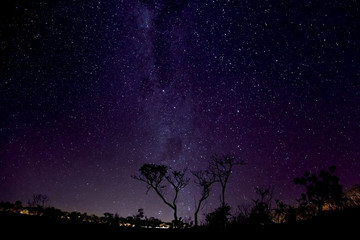 Fototapeta na wymiar The Milky Way behind the trees in a highway at night
