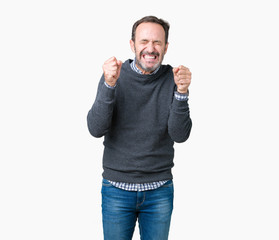 Fototapeta premium Handsome middle age senior man wearing a sweater over isolated background excited for success with arms raised celebrating victory smiling. Winner concept.