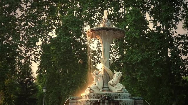 Beautiful fountain with statues and garden during the sunset