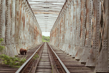 Fototapeta na wymiar The old railroad bridge and the Red Monkey