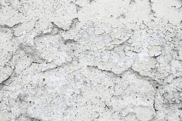 Grungy and old weathered white wall stucco plaster texture background marked by long exposure to the elements outdoors and with gray painting coating peeling off with cracks and fissures.