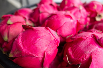 stacks of pitaya fruits