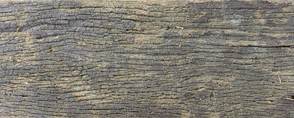 Old wood sheets with hard texture, beautiful pattern, dark background