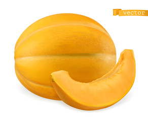 Melon, 3d realistic vector icon