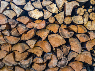 Stacked Wood Cut. Cross section of tree trunks background. Decoration of cutting tree. 