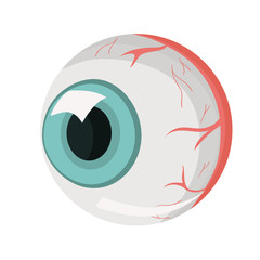 The human eye. Part of the human body. Isolate on white background. Vector template.