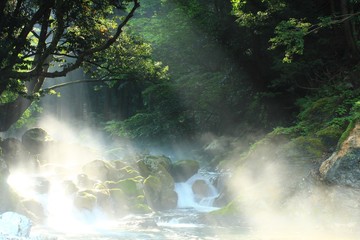 Fototapeta na wymiar 光降り注ぐ森林と川の大自然の風景