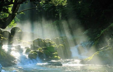 光が降り注ぐ森林と川の大自然の風景です