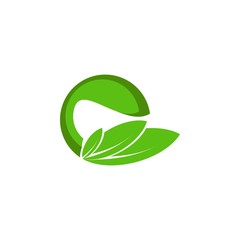 Letter e with Leaf logo design vector