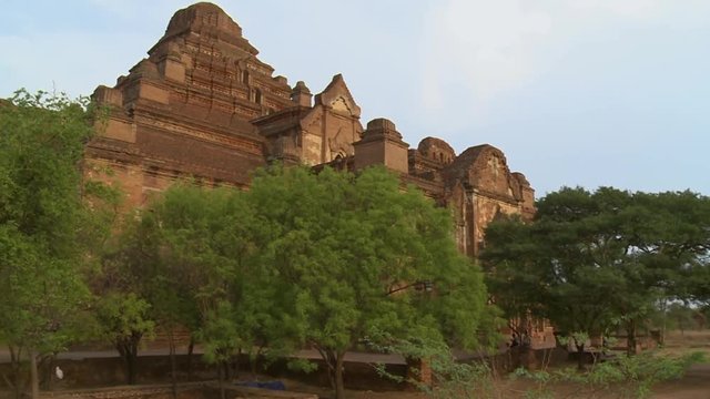 An establishing shot of trees growing on a field in between old temples in Myanmar
