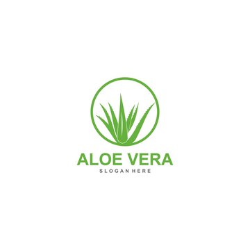 aloe vera logo template, design vector, lotion, treatment