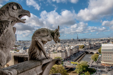 gargoyles over Paris