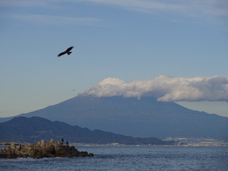 Landscape with ocean and Mount Fuji in Shizuoka, Japan