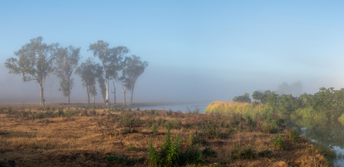 Fototapeta premium Misty River Morning