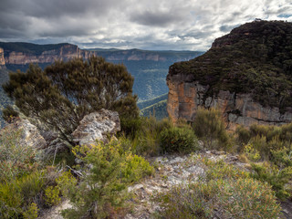 Blue Mountains Grose Valley Daytime with No People