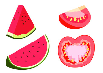 watermelon and Tomato Half ball on white background  illustration vector