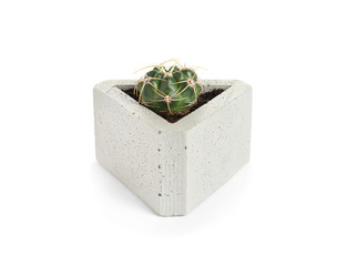 Beautiful succulent plant in stylish flowerpot isolated on white. Home decor
