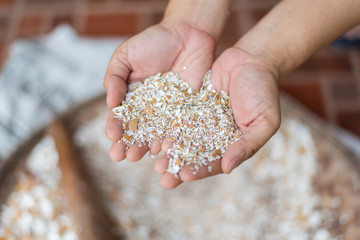 Homemade crushed layer eggshells break on hand. 