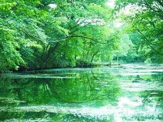 Obraz premium 北海道の風景 富良野 鳥沼公園