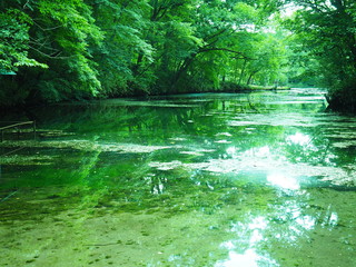 北海道の絶景 富良野 鳥沼公園