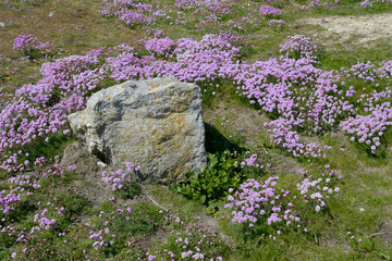 Path through quarry on Portland Bill near Weymouth on the Dorset coast