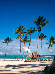A Caribbean beach showing a line of palm trees on a white sandy beach with deep blue sky and azure sea with and a quiet refreshment hut. . 