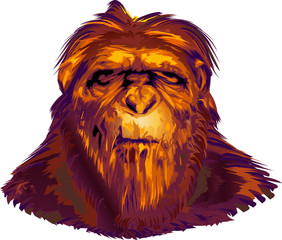 Neanderthal Primate face vector illustration isolated on white