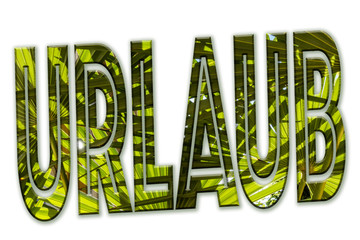 Urlaub unter Palmen