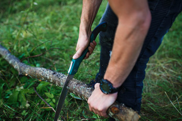 Using a small tourist hand saw in the hike. Male hand sawing firewood folding saw orange