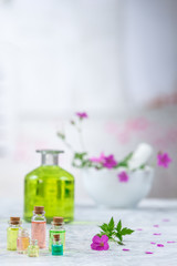 Obraz na płótnie Canvas Essential geranium oil in bottle and geranium flowers,Meadow geranium essential oil