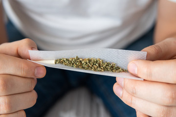 Close up of Man rolling a cannabis joint on white background. marijuana GRINDER cannabis use...