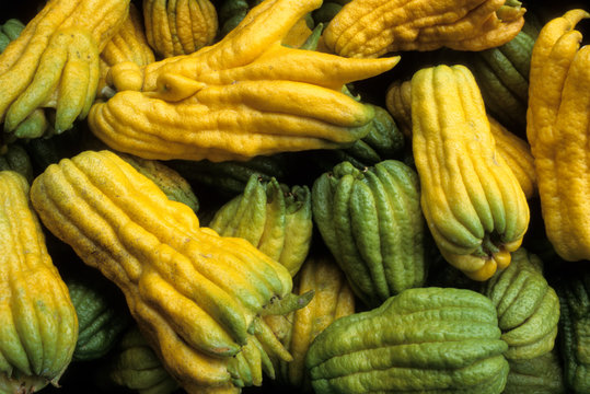 日本の伝統食品、ぶっしゅかんかんろに、収穫されたぶっしゅかん