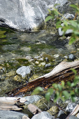 Creek over Rocks