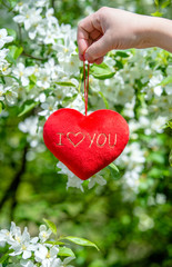 Girl holding a heart on a background of appletree blossoms 