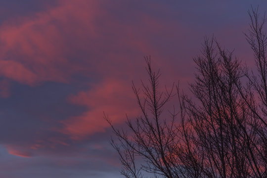 sonnenuntergang am himme und aeste